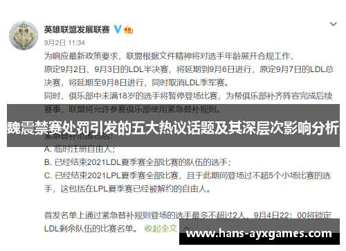 魏震禁赛处罚引发的五大热议话题及其深层次影响分析